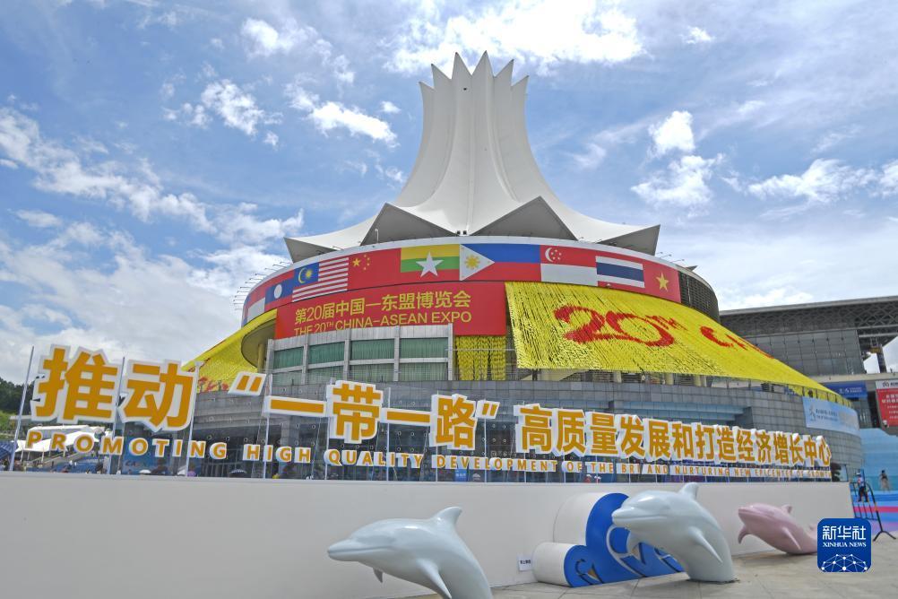 2025白菜